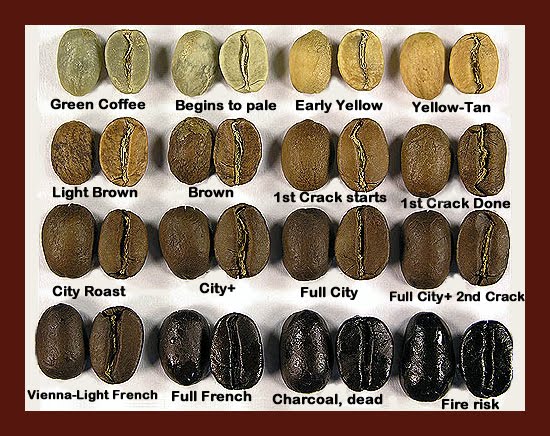 Coffee bean roast styles from green to French roast