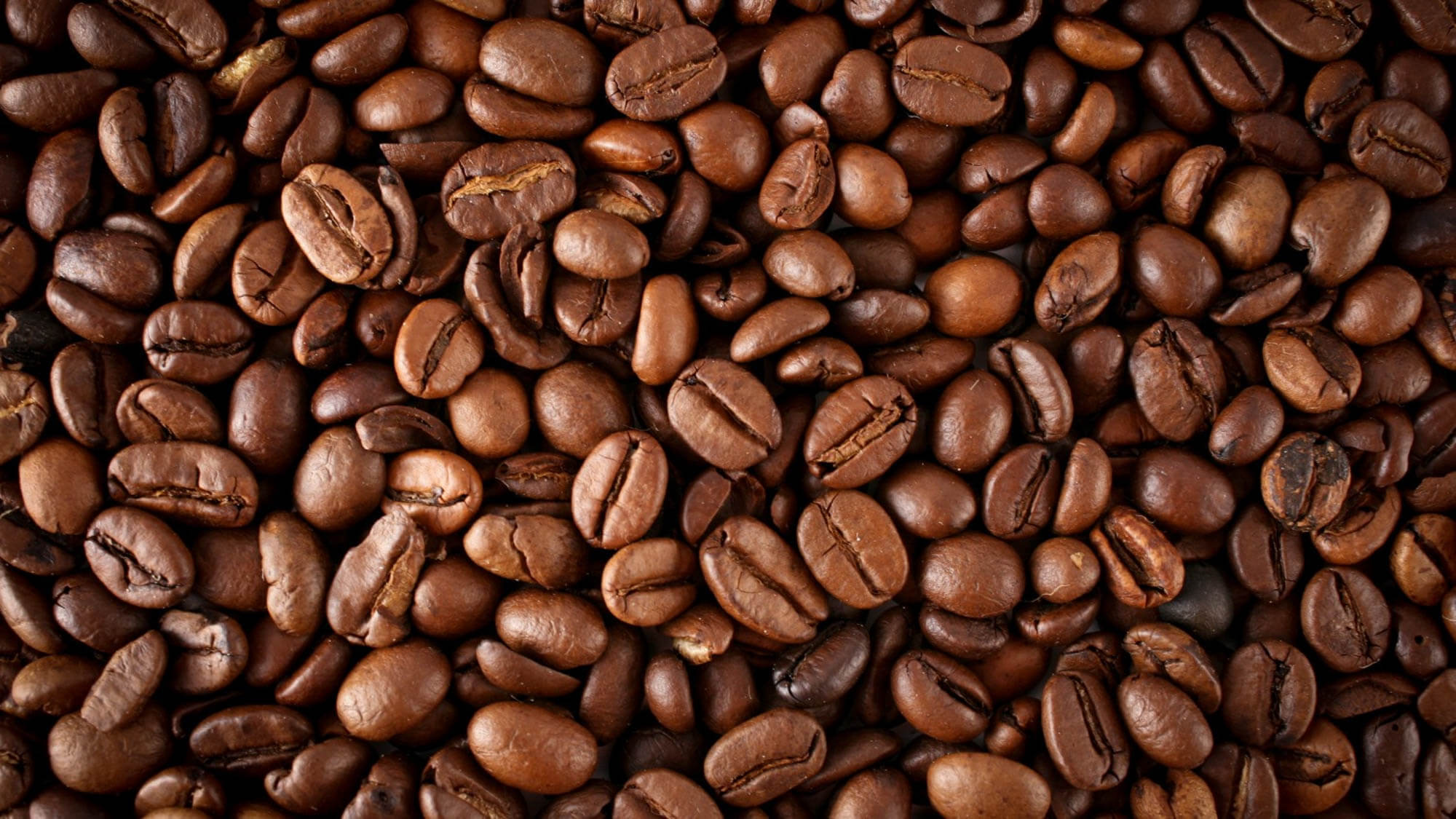 Roasted coffee beans